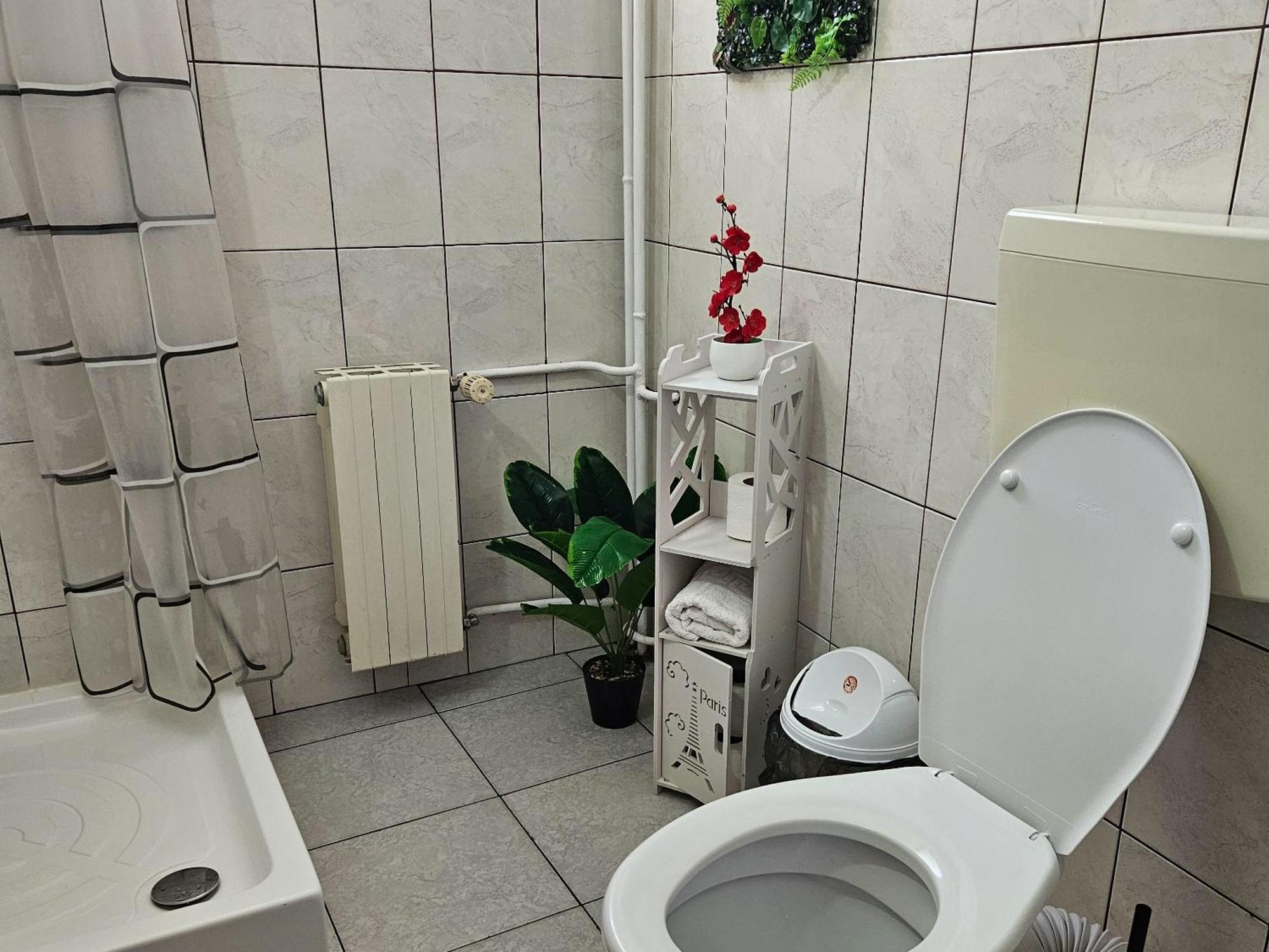 Apartment Zarnesti City Centre Vmp Free Parking Bilik gambar